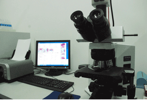 BLC-UC高速显微镜相机（全系列均支持TCT病理软件）